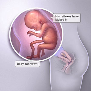 Saptamana 12 de sarcina