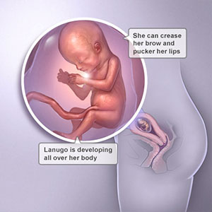 Saptamana 14 de sarcina