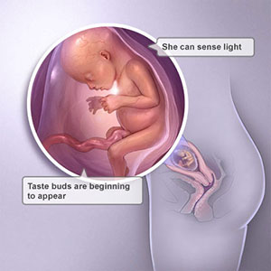 Saptamana 15 de sarcina