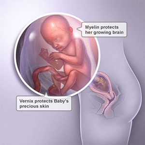 Saptamana 18 de sarcina