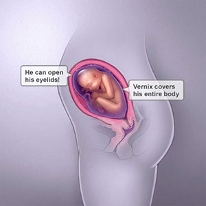 Saptamana 26 de sarcina