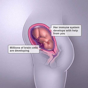 Saptamana 29 de sarcina