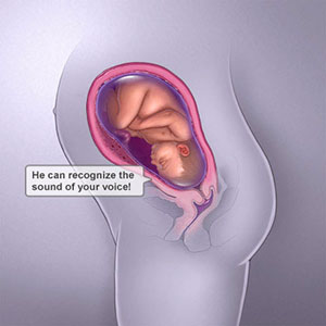 Saptamana 37 de sarcina