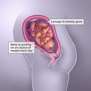 Saptamana 39 de sarcina