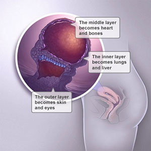 Saptamana 4 de sarcina