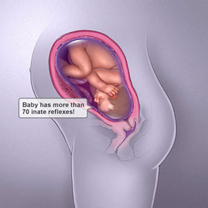 Saptamana 42 de sarcina