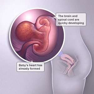 Saptamana 5 de sarcina