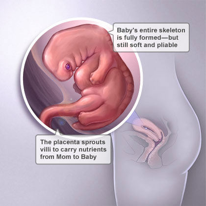 Saptamana 7 de sarcina